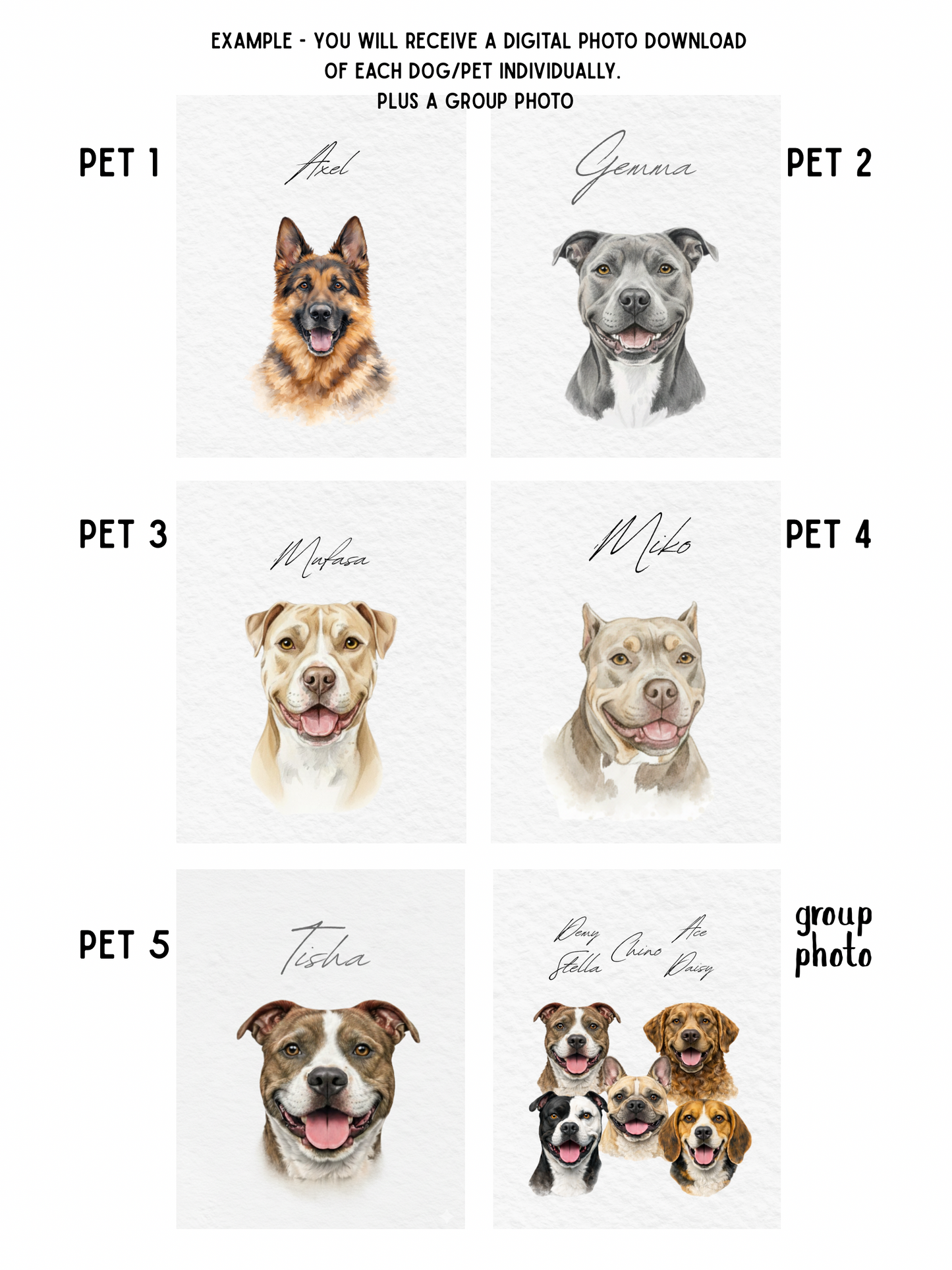 Custom Pet Portraits, Your Pet Sketch, Personalized Digital Dog Portraits, Personalized Pitbull, Bully, Pittie, Dog Portrait, Watercolor Pet Painting, Pet Memorial Art - Staggs Styles Co