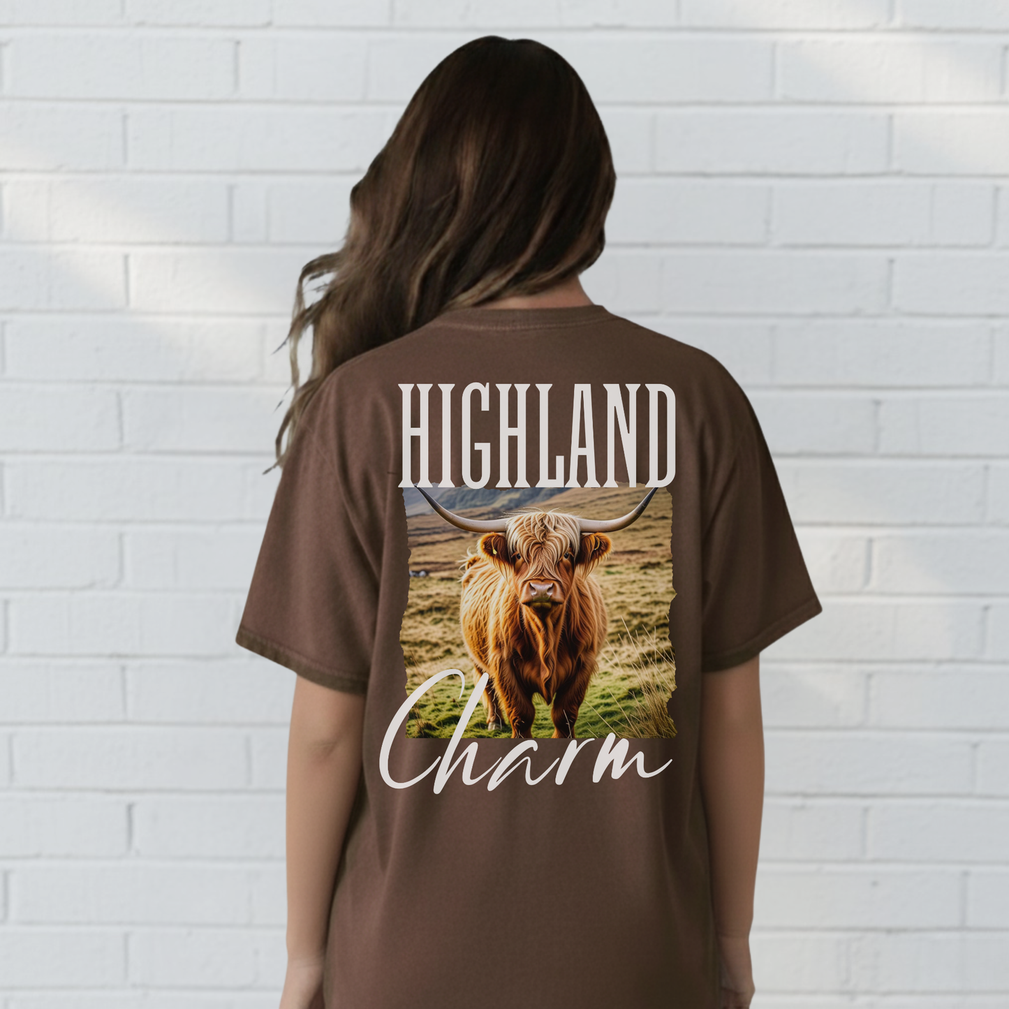 Highland Cow Charm Graphic Shirt, Western T-Shirt