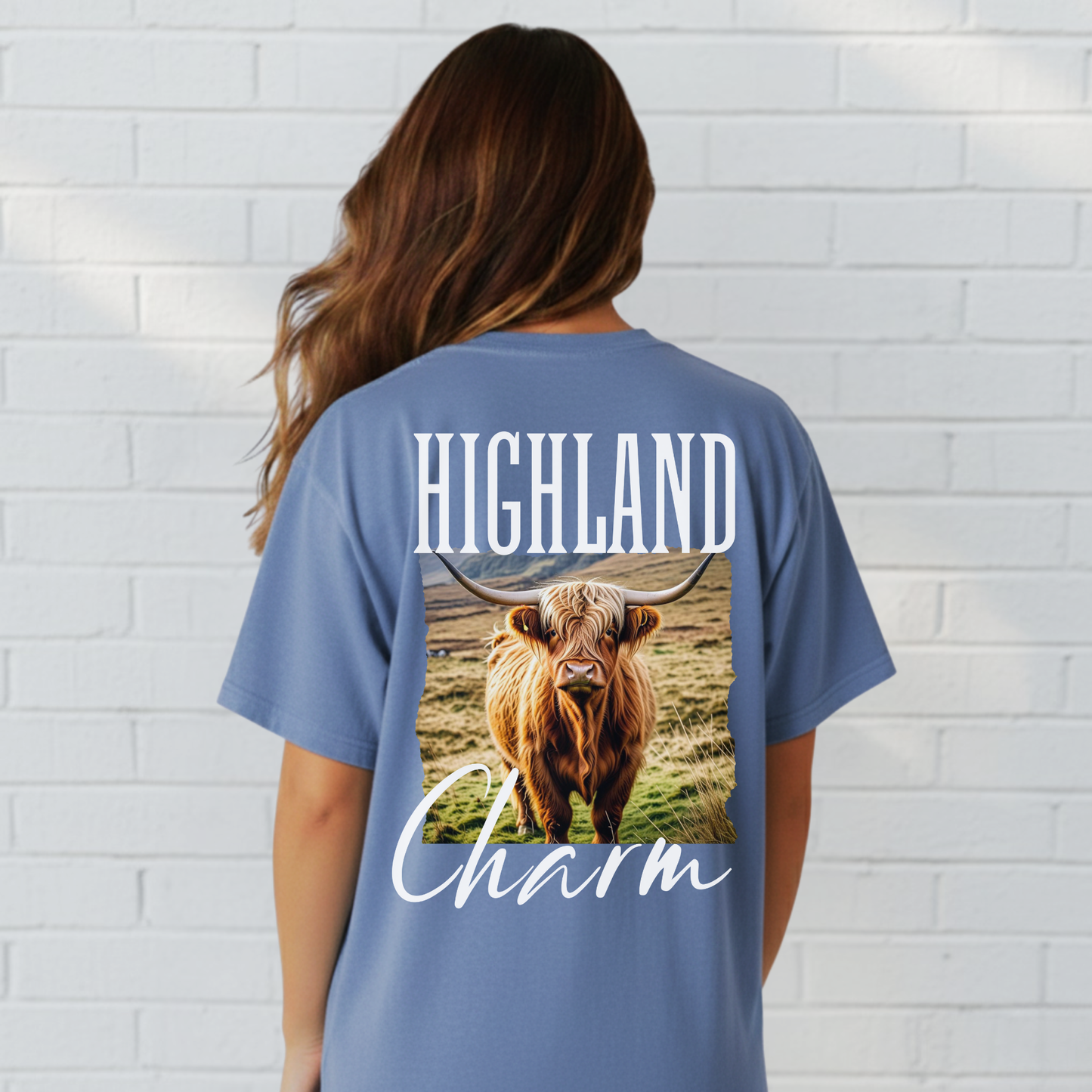 Highland Cow Charm Graphic Shirt, Western T-Shirt