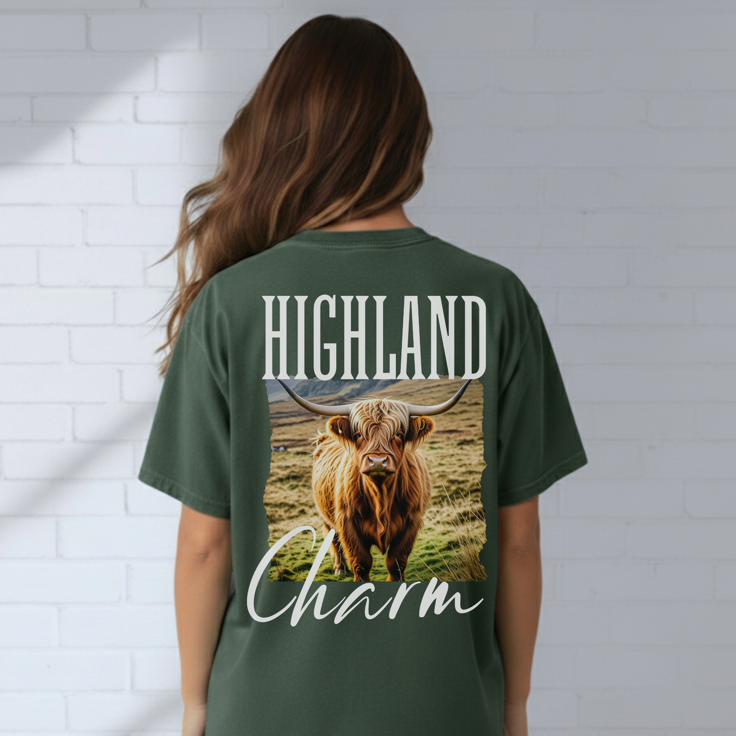 Highland Cow Charm Graphic Shirt, Western T-Shirt