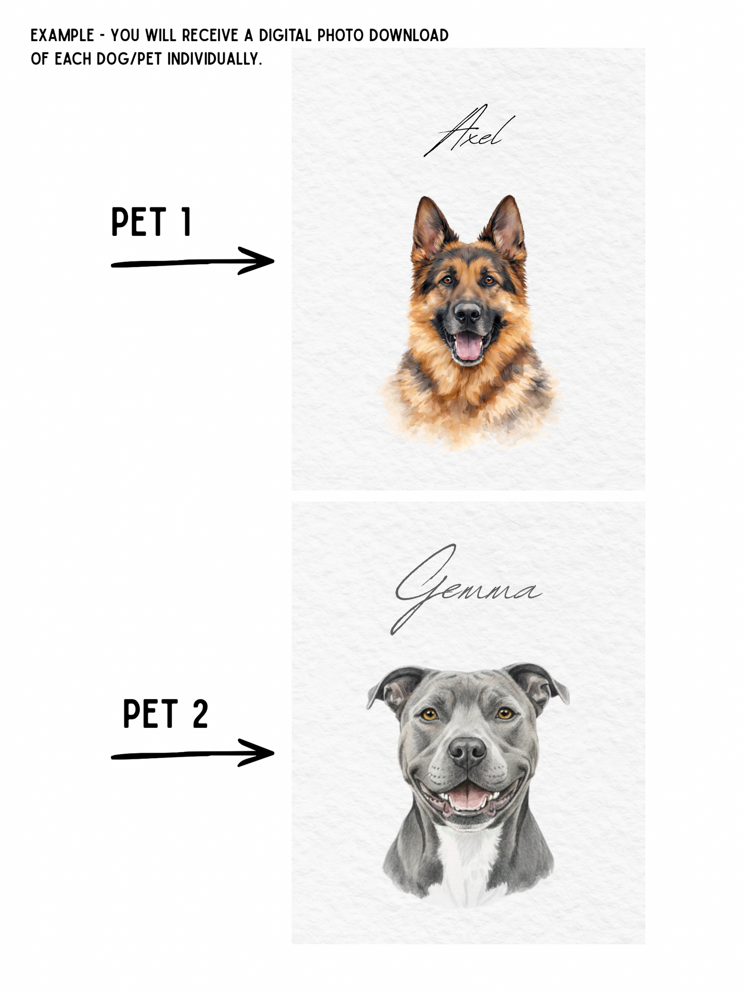 Custom Pet Portraits, Your Pet Sketch, Personalized Digital Dog Portraits, Personalized Pitbull, Bully, Pittie, Dog Portrait, Watercolor Pet Painting, Pet Memorial Art - Staggs Styles Co