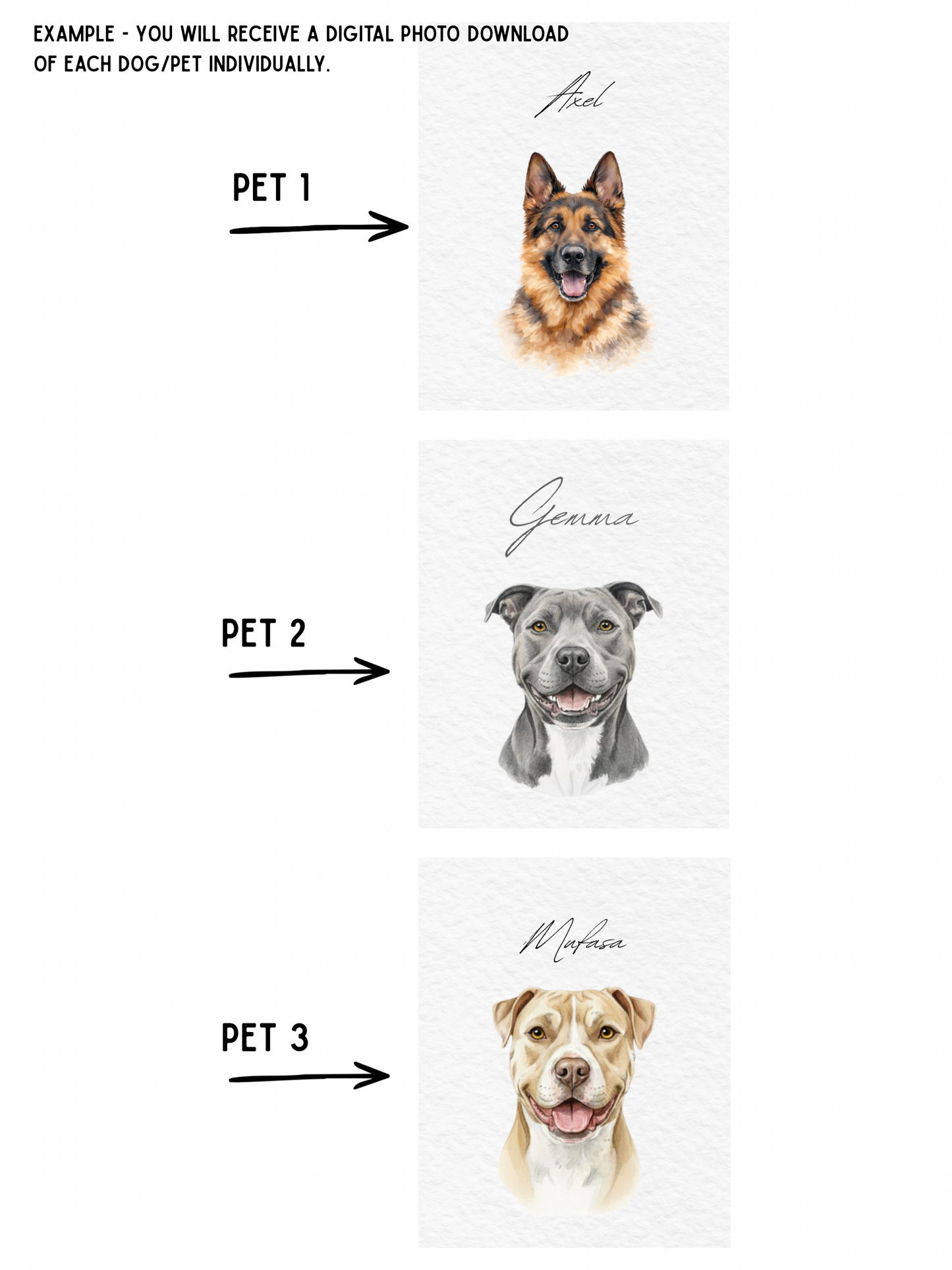 Custom Pet Portraits, Your Pet Sketch, Personalized Digital Dog Portraits, Personalized Pitbull, Bully, Pittie, Dog Portrait, Watercolor Pet Painting, Pet Memorial Art - Staggs Styles Co