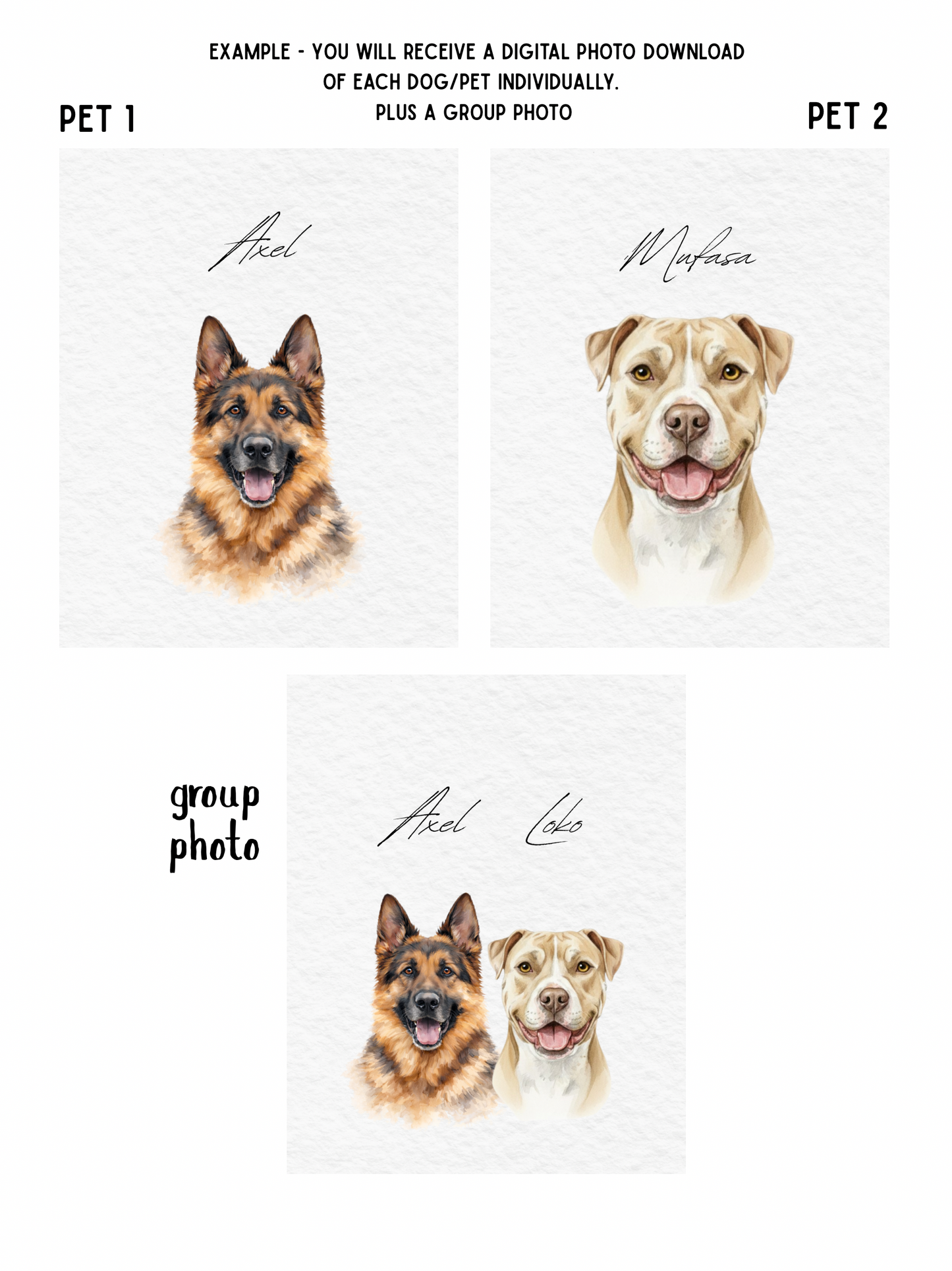 Custom Pet Portraits, Your Pet Sketch, Personalized Digital Dog Portraits, Personalized Pitbull, Bully, Pittie, Dog Portrait, Watercolor Pet Painting, Pet Memorial Art - Staggs Styles Co