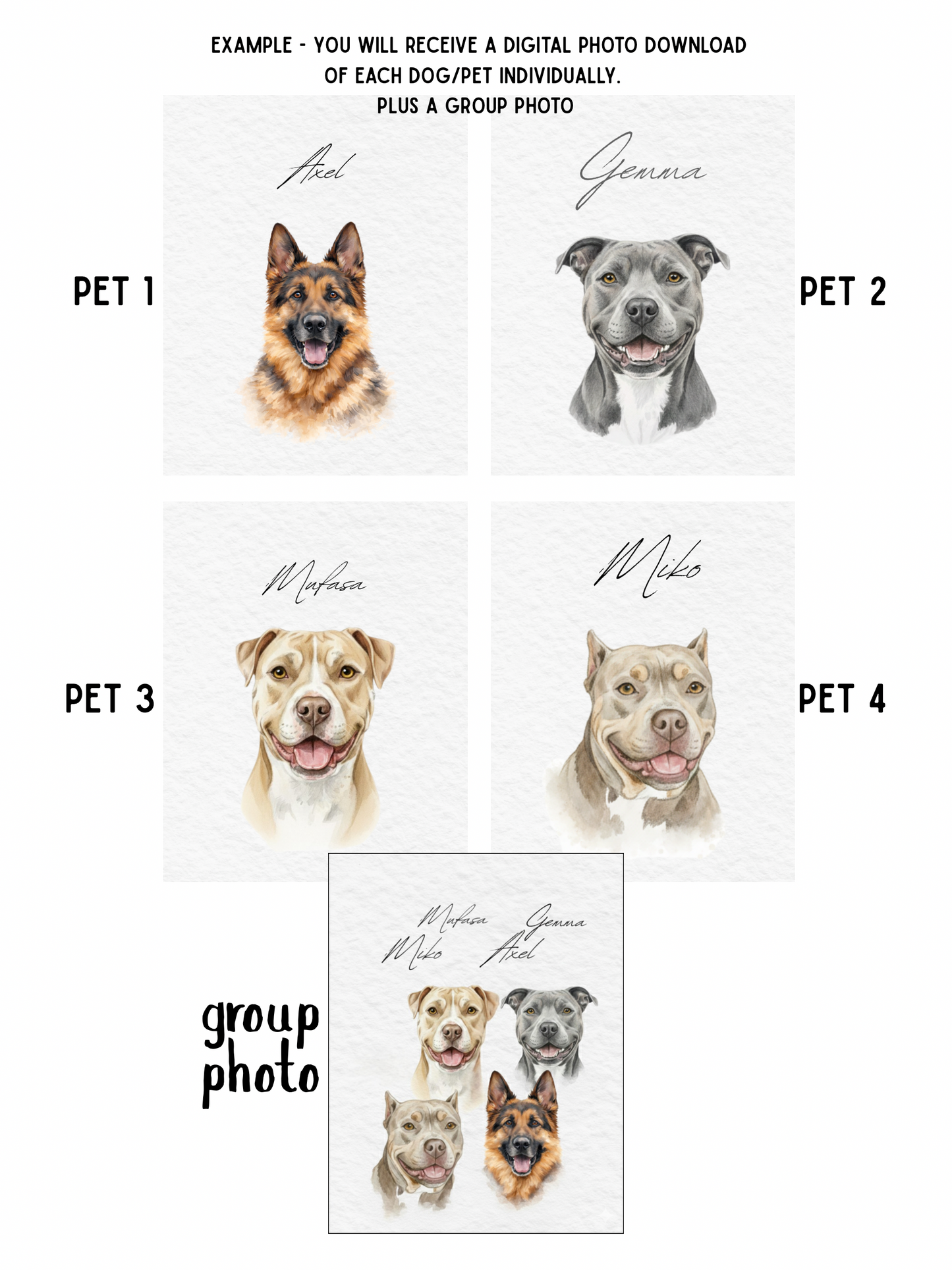 Custom Pet Portraits, Your Pet Sketch, Personalized Digital Dog Portraits, Personalized Pitbull, Bully, Pittie, Dog Portrait, Watercolor Pet Painting, Pet Memorial Art - Staggs Styles Co