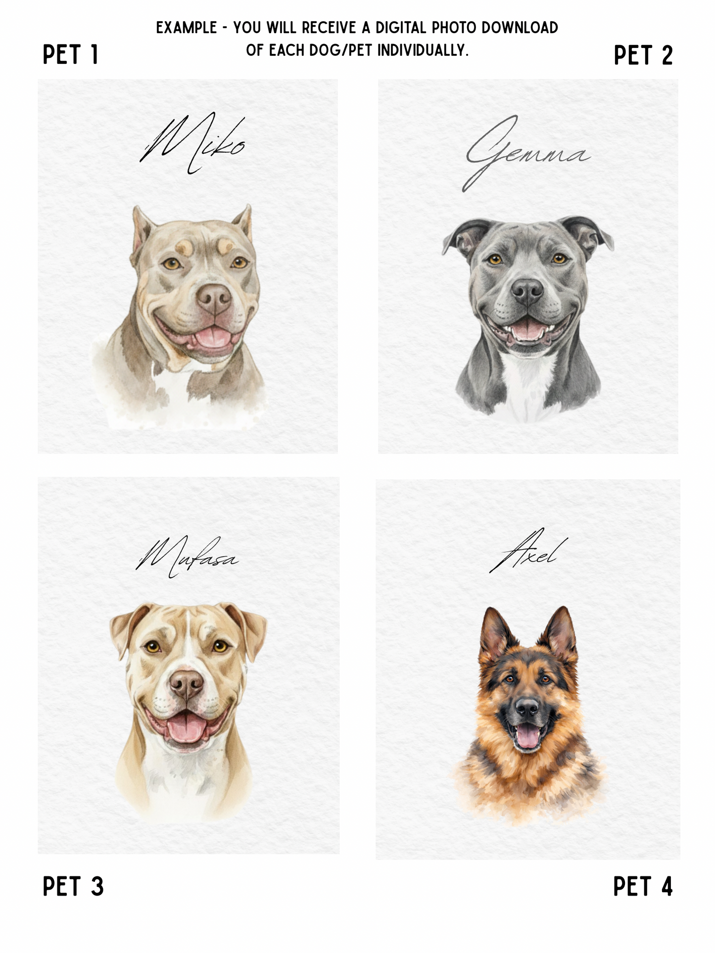 Custom Pet Portraits, Your Pet Sketch, Personalized Digital Dog Portraits, Personalized Pitbull, Bully, Pittie, Dog Portrait, Watercolor Pet Painting, Pet Memorial Art - Staggs Styles Co