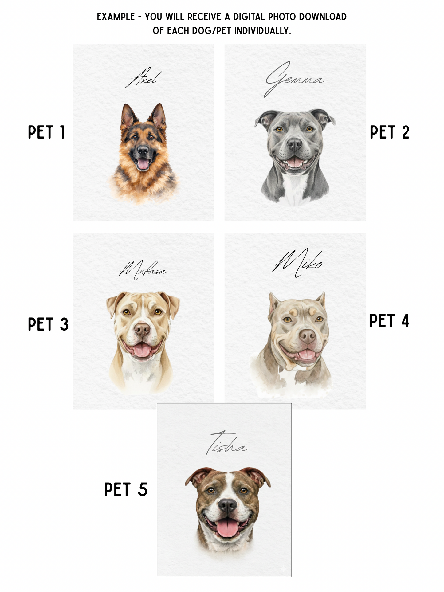 Custom Pet Portraits, Your Pet Sketch, Personalized Digital Dog Portraits, Personalized Pitbull, Bully, Pittie, Dog Portrait, Watercolor Pet Painting, Pet Memorial Art - Staggs Styles Co