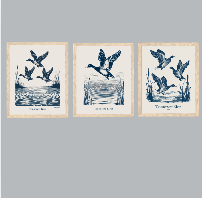 Set of 3 Vintage Tennessee River Duck Framed Prints