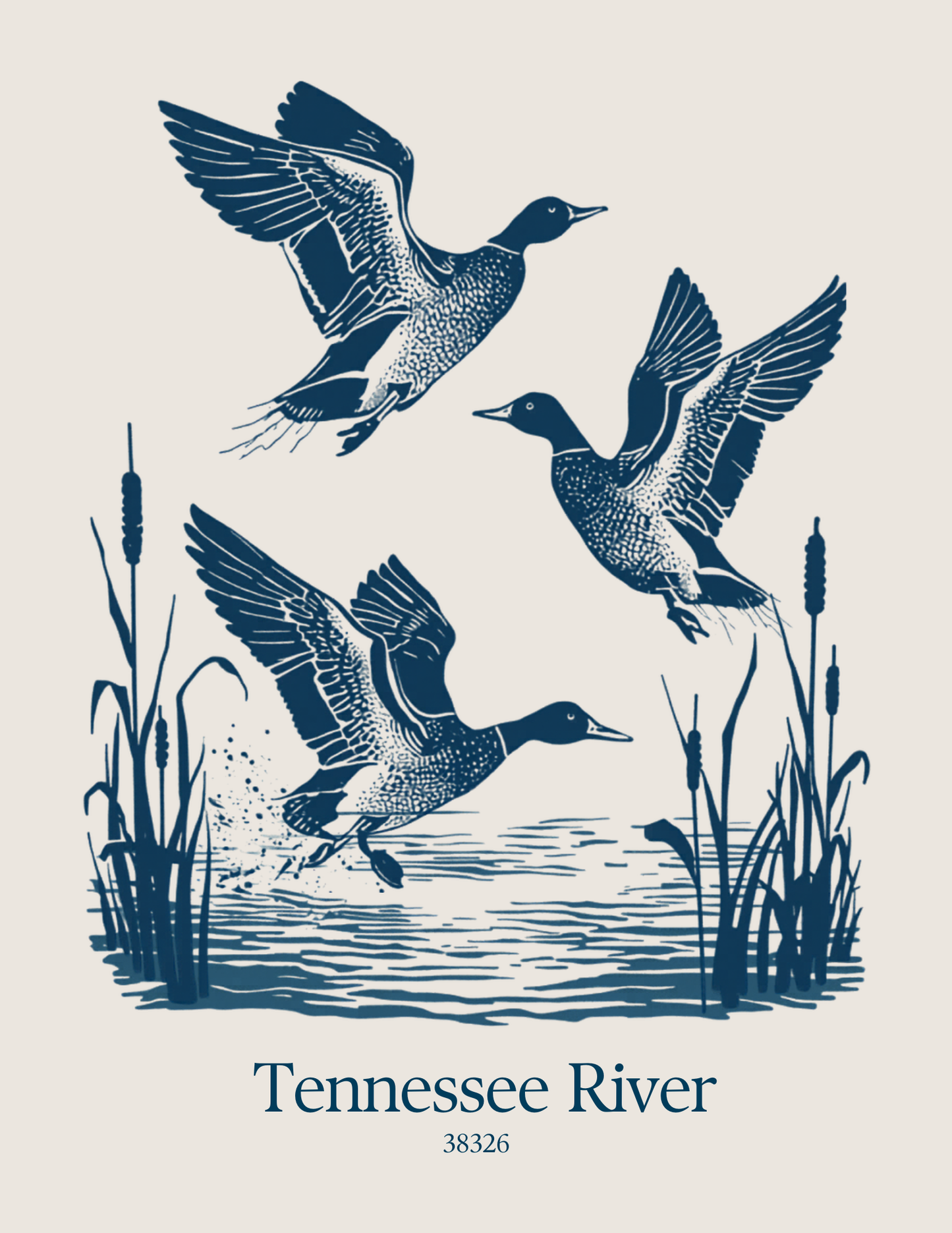 Set of 3 Vintage Tennessee River Duck Framed Prints