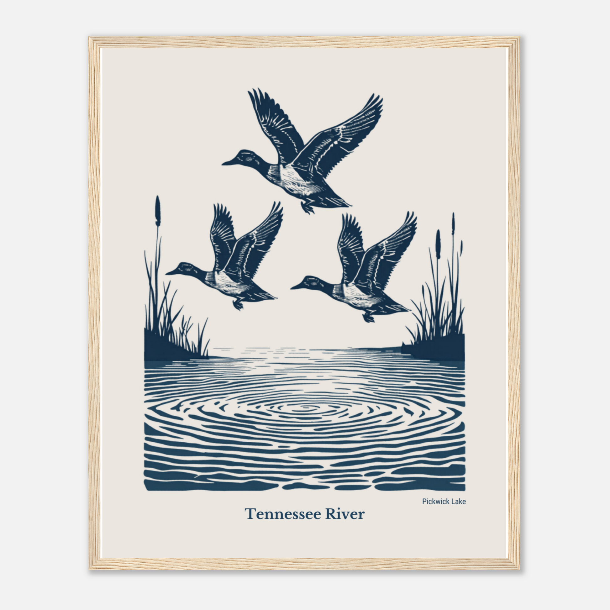 Set of 3 Vintage Tennessee River Duck Framed Prints