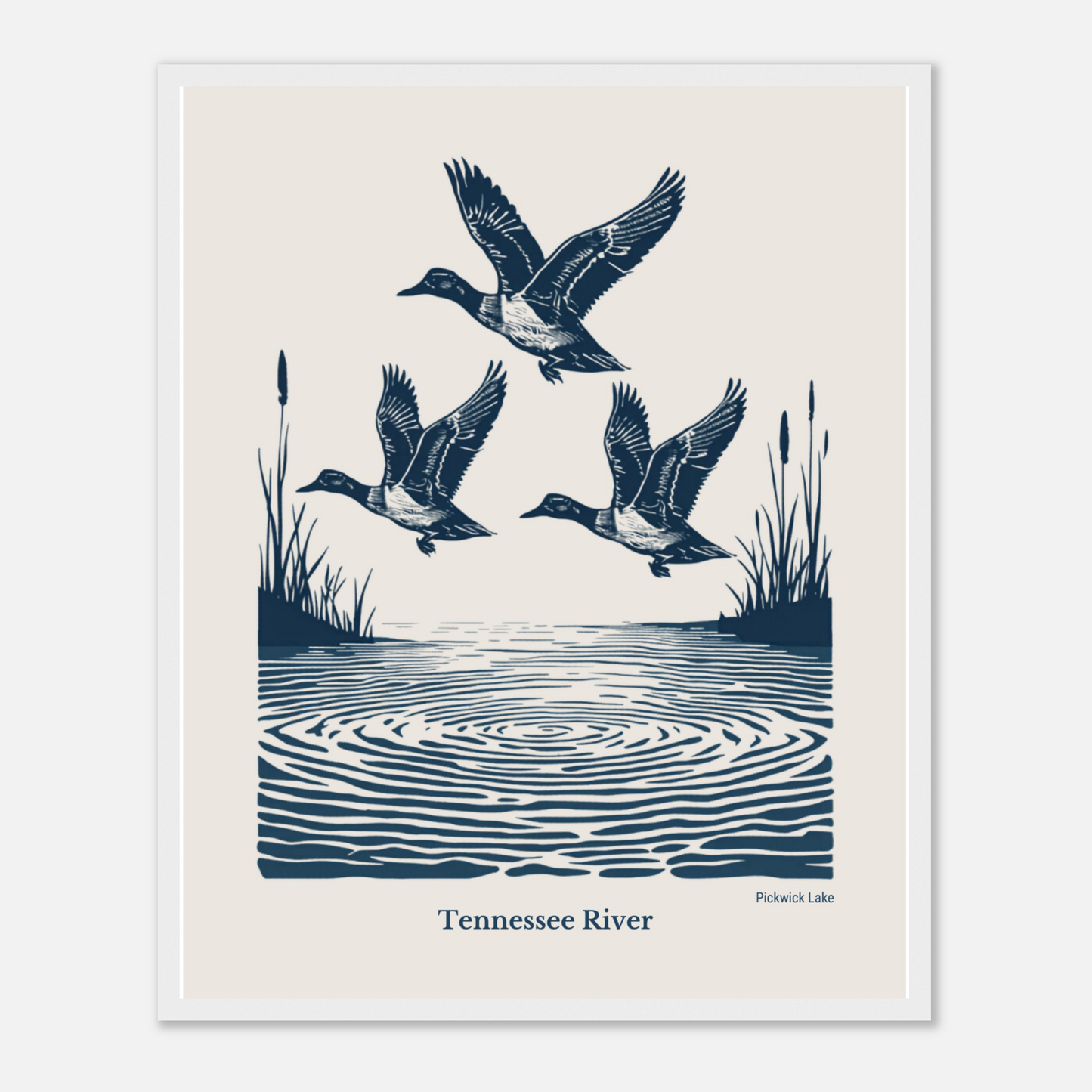 Set of 3 Vintage Tennessee River Duck Framed Prints
