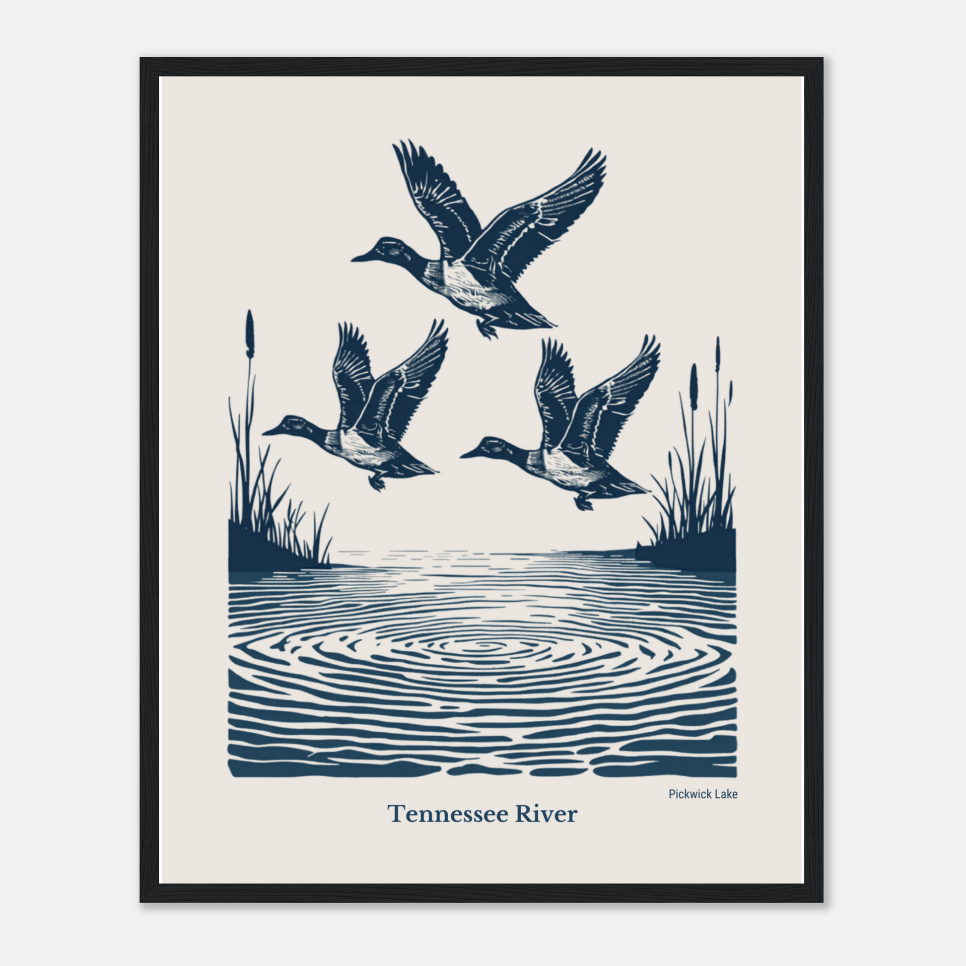 Set of 3 Vintage Tennessee River Duck Framed Prints