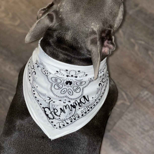Dog Bandanna - Personalized